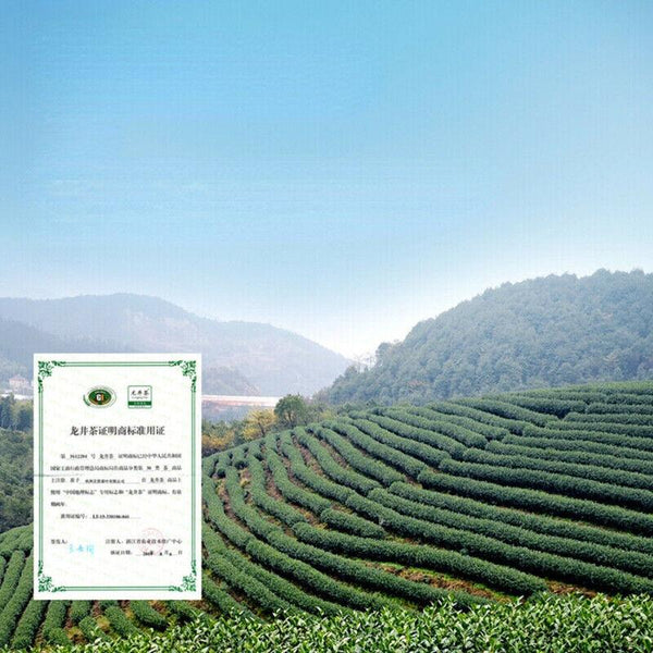CIFbuy China Top Longjing Tea Fragrant Green Tea 200g New Gift Package Loose Leaf Tea
