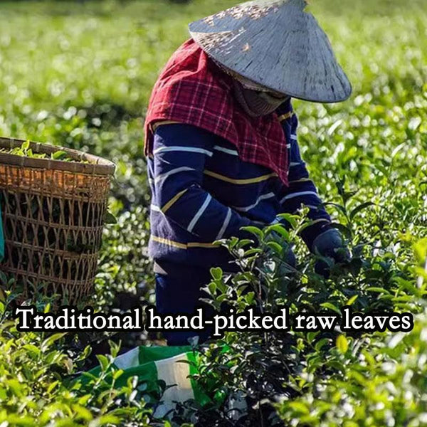 CIFbuy HelloYoung Jin Xuan Milk Oolong Tea Loose Leaf - Taiwan Alishan High Mountain Oolong Tea Leaves 250g Strong aroma resistant to brewing