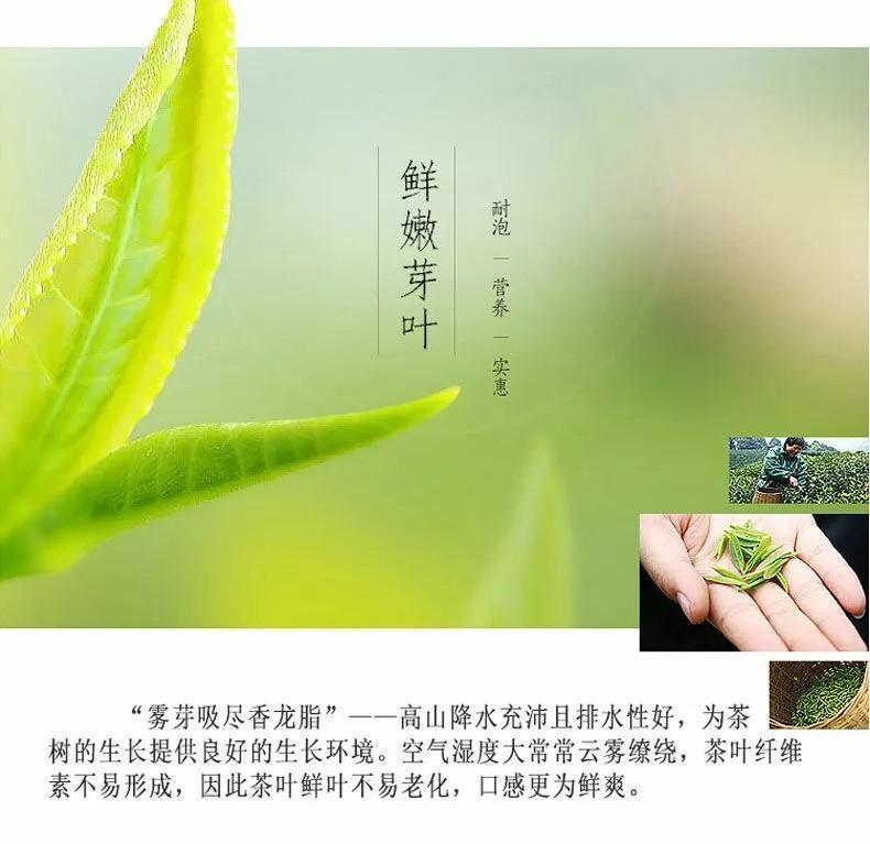 CIFbuy 500g Premium Organic Bai Mu Dan White Peony White Tea Spring Tea Loose Leaf Tea