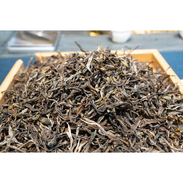 CIFbuy 500g Knowing Over Ancient Puerh Raw Tea Honey Scented Orchid Scented Green Tea