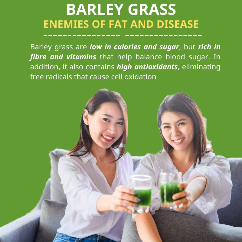 Imported Unsweetened Premium Organic Barley Grass Powder 250g Antioxidant-Rich, Energy Booster Organic Grass Powder