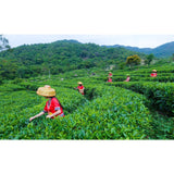 Yunan Pu Erh Tea Bamboo Canned Package Black Tea Loose Leaf Ripe Puer Tea 100g