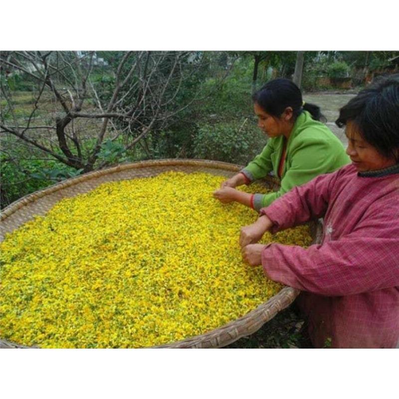 CIFbuy 100g Chrysanthemum | Wild Harvest | Wild Chrysanthemum | Ju Hua