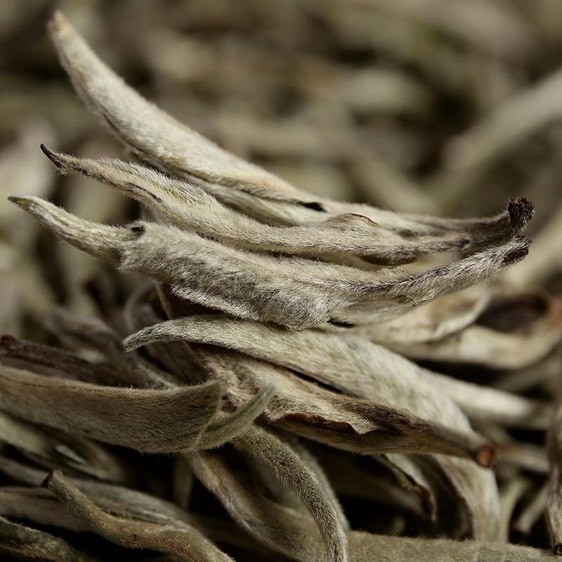 CIFbuy Pu'er raw tea white hair silver needle white hair single bud moonlight white tea
