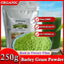 Barley grass official store Organic Barley Grass Powder original 250g Pure&Natural I Nutritionally Complete