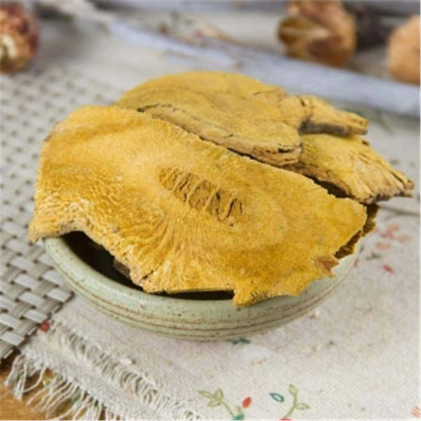 CIFbuy 100%Natural Knotweed Fallopia Japonica Polygoni Cuspidati HuZhang Chinese Herbal