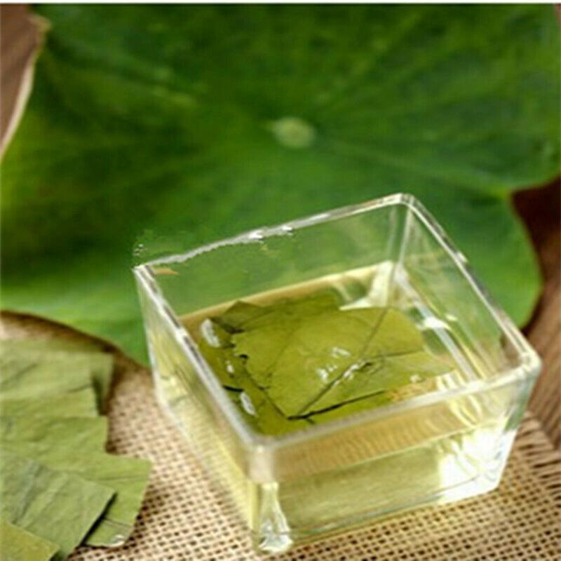 CIFbuy Traditional Tea Lotus Leaf Green Tea Herbal Tea