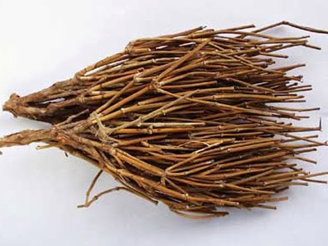 Somlata, Soma, Ephedra Gerardiana, Pack of 100 Grams