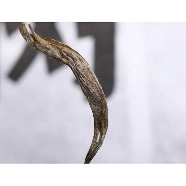 CIFbuy Haiwan High Mountain Ancient Tree 2019 Old Comrade Batch 191 Raw Puer Tea 500g