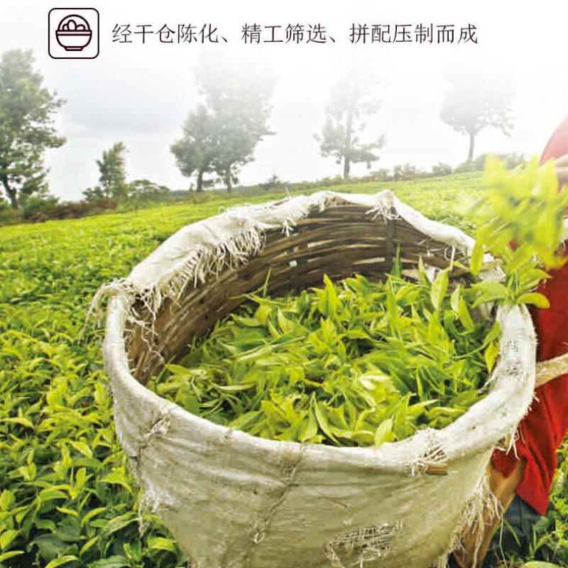 CIFbuy 2019 Old Tree Chunqiu San Hao Raw Pu-erh Sheng Cha 357g Zhongcha Pu'er Puer Tea