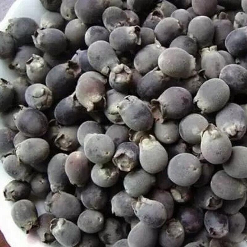 CIFbuy 250/500g Dried Rhodomyrtus Tomentosa Fruit, Dried Herbal Tea Renzi Tea Jinxiang