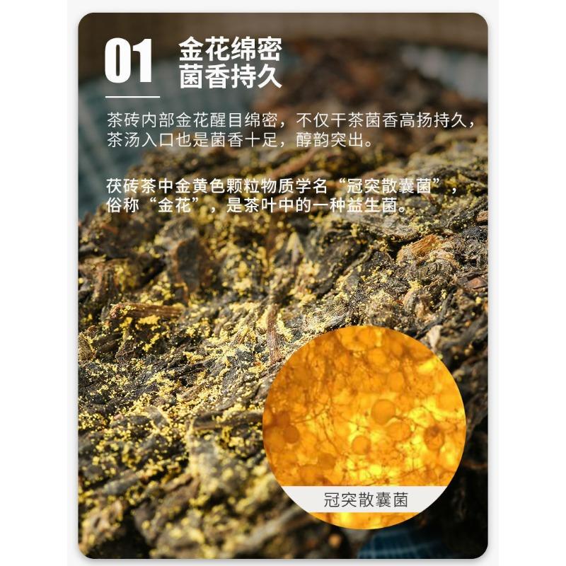 CIFbuy CHINATEA Jinhua MM Hunan Anhua Golden Flowers Fucha Dark Tea Brick Fu Zhuan 360g
