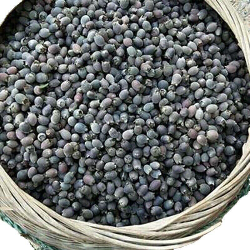 CIFbuy 250/500g Dried Rhodomyrtus Tomentosa Fruit, Dried Herbal Tea Renzi Tea Jinxiang