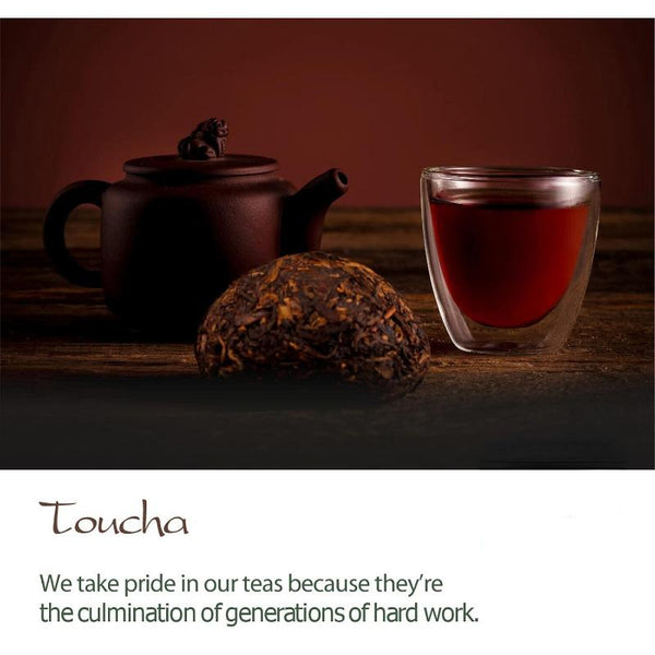 CIFbuyToucha Pu-erh Tea Yunnan China - TOU Cha Bird Nest Pressed Chinese Puer Tea 100g