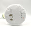 CIFbuy 2021 Fuding Shoumei (High-Mountain Autumn White Dew Bai Cha), High-Aroma White Tea, 350g