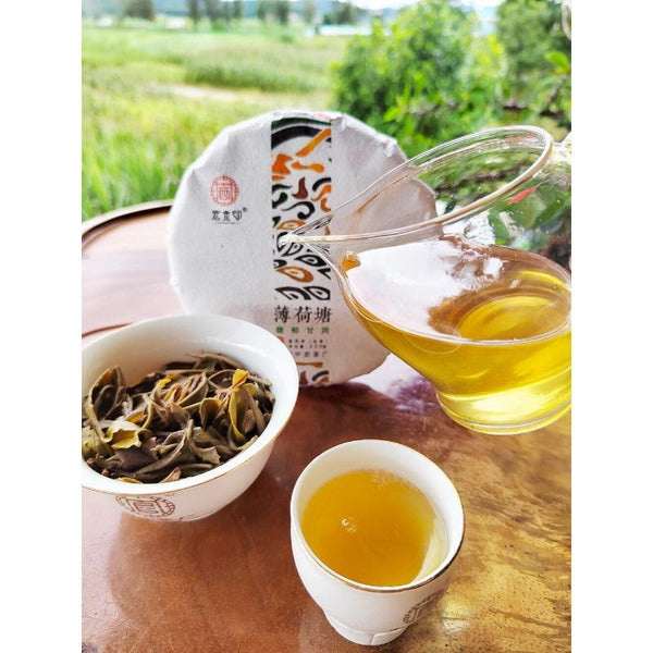 CIFbuy 200g MintHotang Ancient Tree Tea Yiwu Old Tree Raw Pu'er First Spring Jiaoji Tea