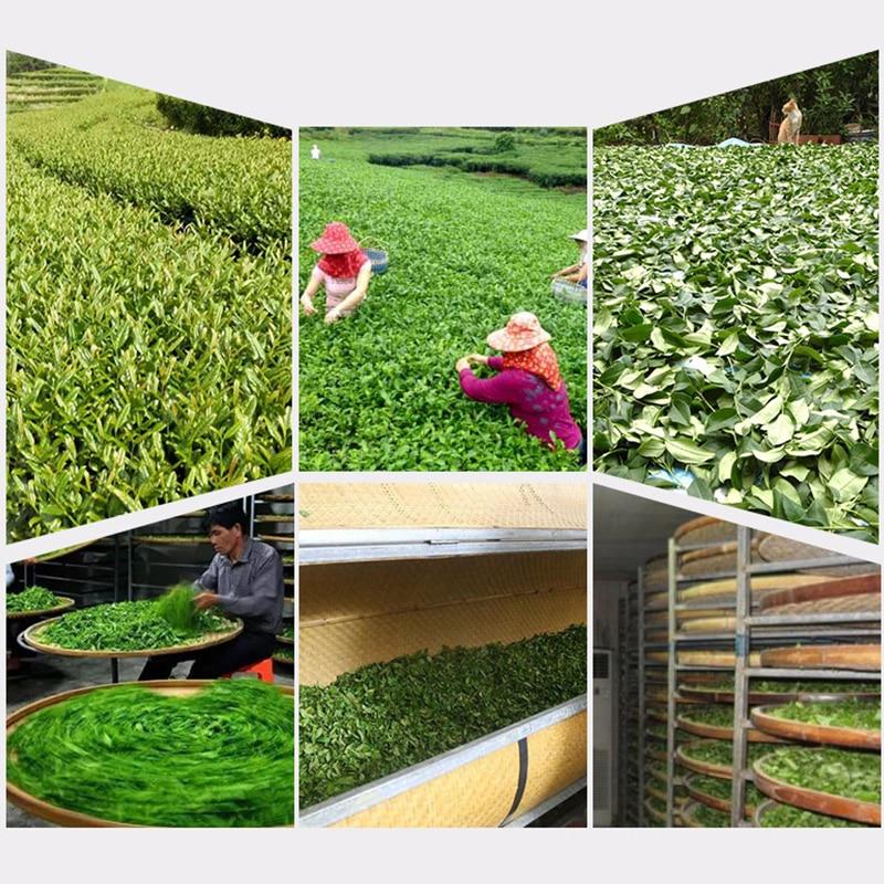 CIFbuy 2023 Fujian Ningde Green Tea, High-Mountain Spring Tea Lvcha, 250g
2023年福建宁德绿茶，高山春茶绿茶，250克