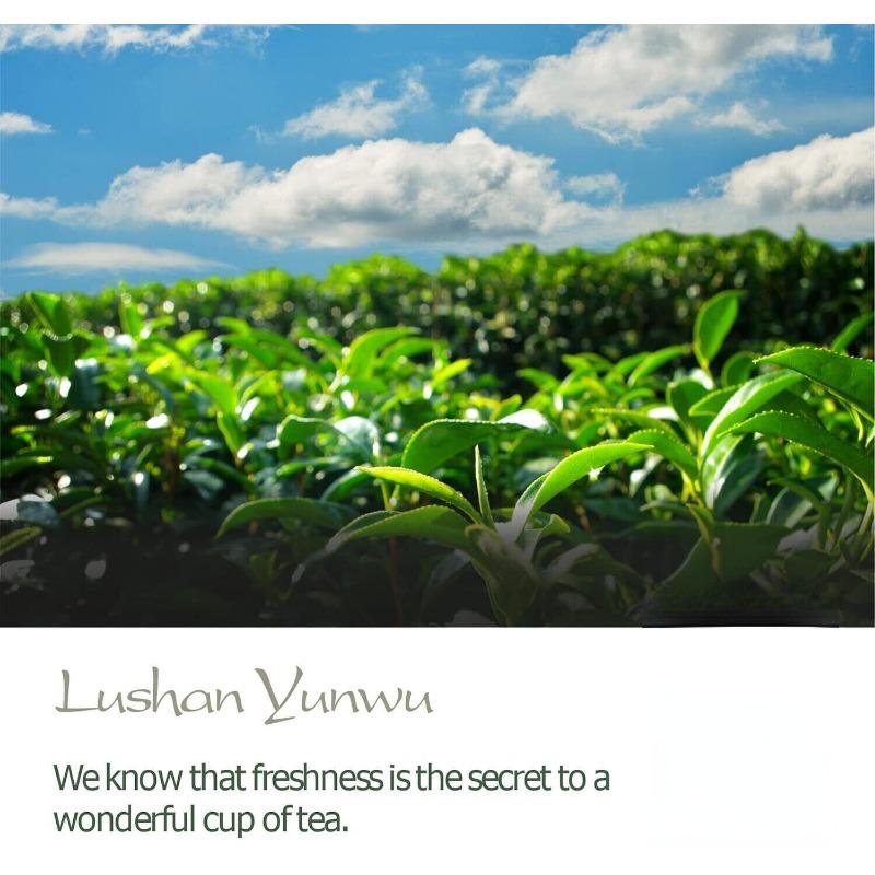 CIFbuy Wild Lushan Yunwu Green Tea - April Wind A Fog-Clouded Chinese Tea 100g