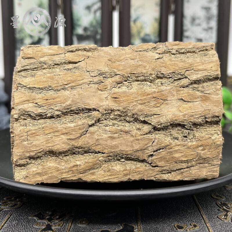 CIFbuy High Quality Eucommia Ulmoides Chinese Herbal Raw Eucommia Ulmoides Duzhong
