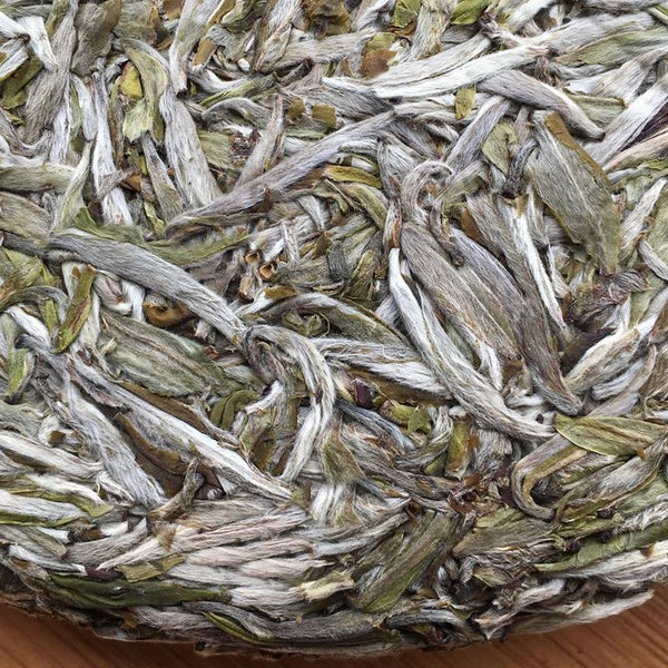 CIFbuy 2021/2022 Fuding Silver Needle (Bai Hao Yin Zhen) High-Mountain Bai Cha, 300g