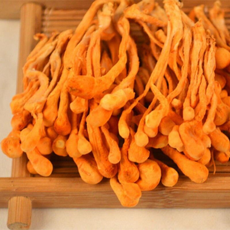 CIFbuy Cordyceps Militaris Powder Organic Mushroom Rich In Protein Amino Acids Herbal