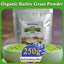 Barley grass powder original barley grass powder willy ong 100% Pure and Natural for lose weight barley powder pure organic body detoxification