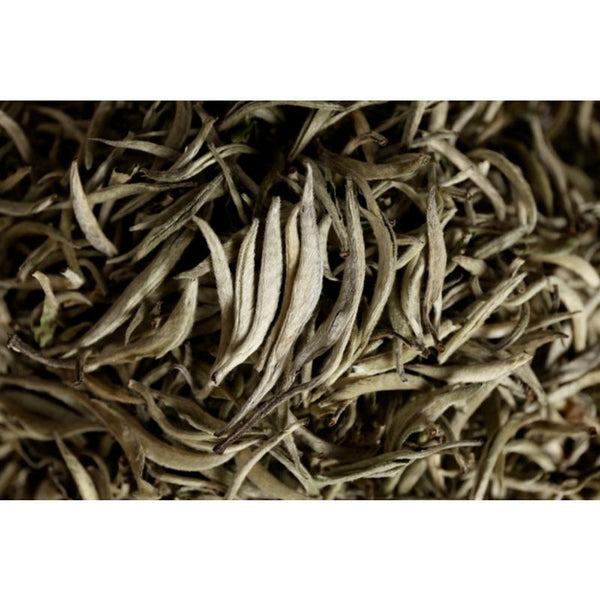 CIFbuy Pu'er raw tea white hair silver needle white hair single bud moonlight white tea