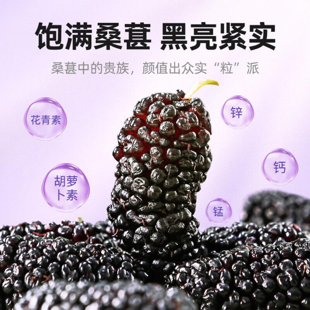 CIFbuy 200g Premium Dried Black Mulberries Sweet Fragrant No Sand Grade A  English: 200g Premium Dried Black Mulberries Sweet Fragrant No Sand Grade A