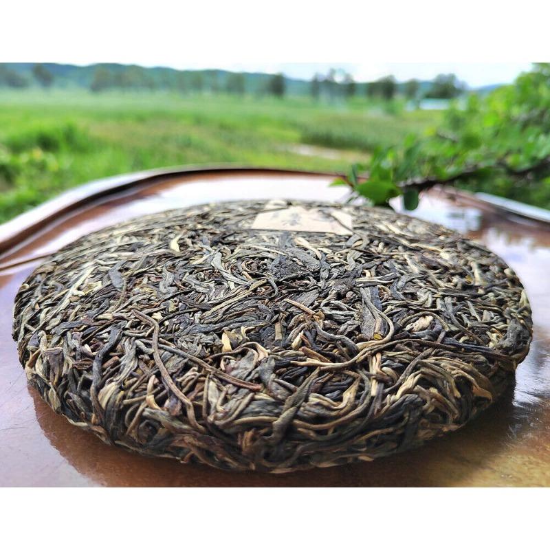 CIFbuy 357G Yiwu Pu'er Tea Raw Tea Bent Bow Ancient Tree Tea Yunnan Tea Seven Cakes