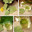 CIFbuy Traditional Tea Lotus Leaf Green Tea Herbal Tea
