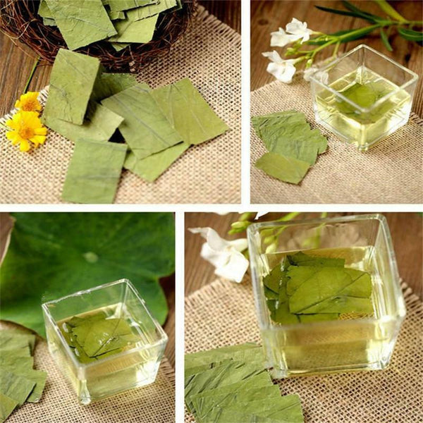 CIFbuy Traditional Tea Lotus Leaf Green Tea Herbal Tea