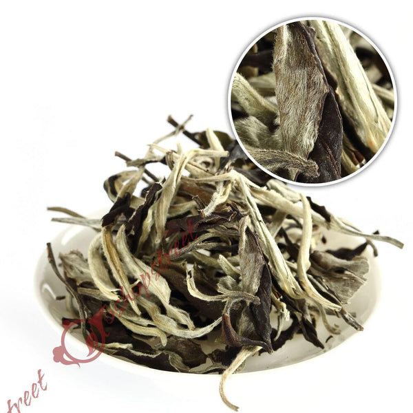 CIFbuyGOARTEA 100g Premium Yunnan Puer Puerh Puerh Tea Moonlight weiße Pu-erh Tee Raw