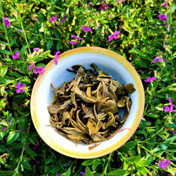 CIFbuy 357g Natural Organic Arbor Pu'er Tea Yiwuqingbing Health Care Pu'er Tea