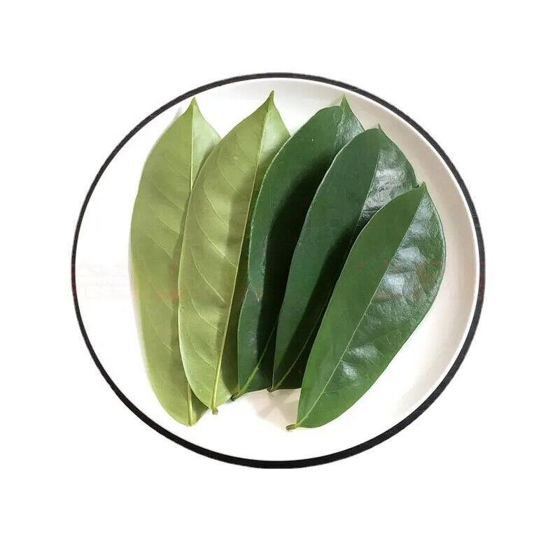CIFbuy GRAVIOLA LEAF 100g Wild Harvest Soursop Custard Apple Annona Muricata