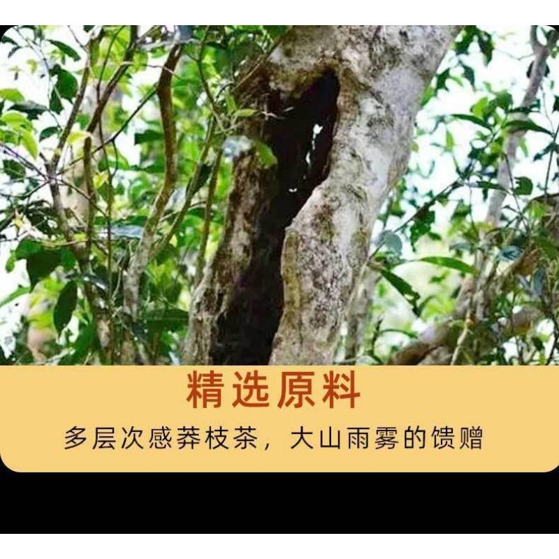 CIFbuy 357g Yunnan Tea Pu'er Raw Tea Savage Ancient Tree Pu'er Tea Pu'er Tea Cake