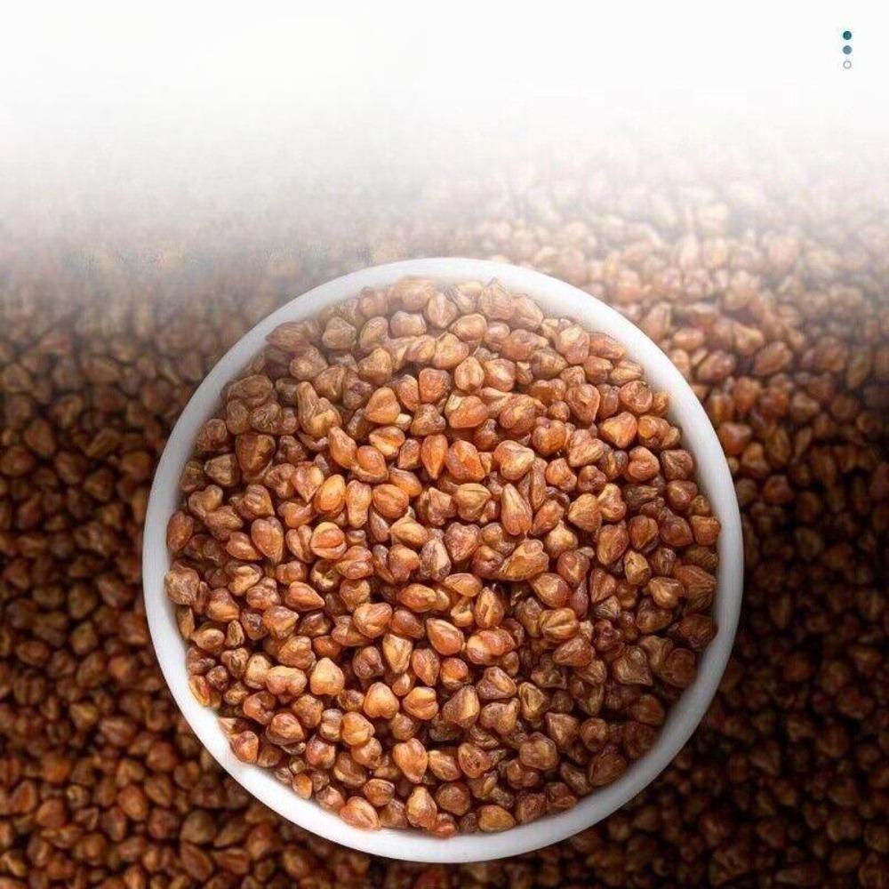 CIFbuy 250g TongRenTang Black Buckwheat Tea  NEW