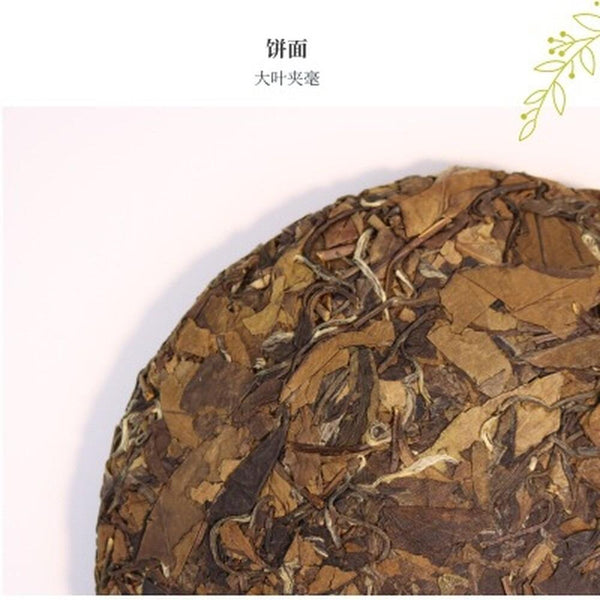 CIFbuy Organic Fuding White Tea Cake 8 Year Aged Shoumei 300g
