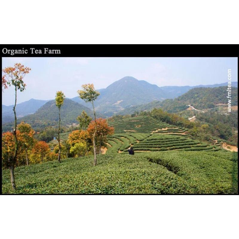 CIFbuy Organic Black tea Chinese loose leaf tea teabags PVC Box 18 packs 126g
