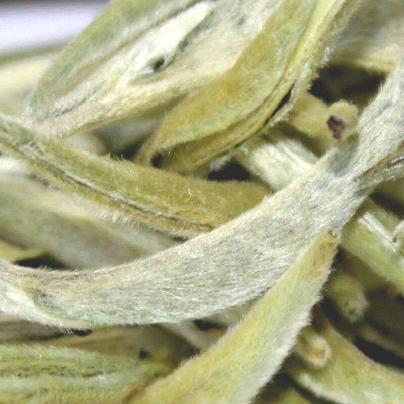 CIFbuy 2021 Yunnan Spring Moonlight White Tea, Ancient Tree Big Bud, Silver Needle Chinese White Tea (Available in 50g/150g/250g)