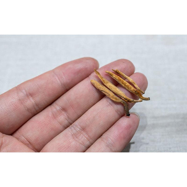 CIFbuy 500G Yunnan Black Tea Mini Gold Needle Fengqing Dian Hong Tea Small Gold Needle