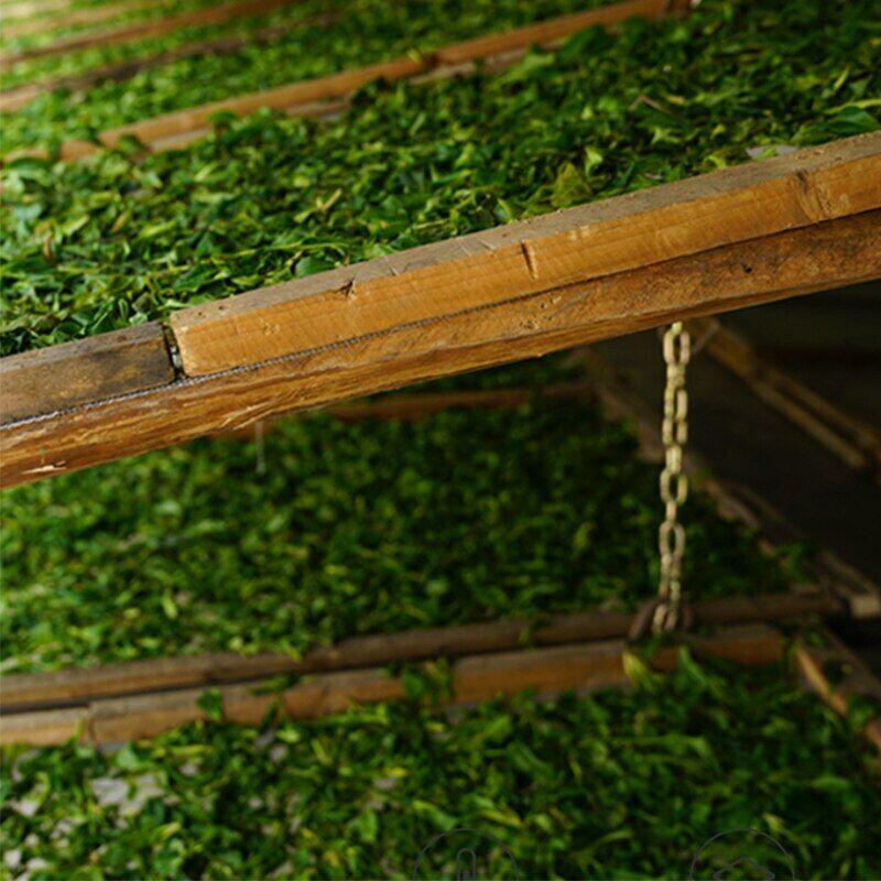 CIFbuy 2023 Premium Handmade Yunnan Moonlight Beauty White Tea loose leaf 50g