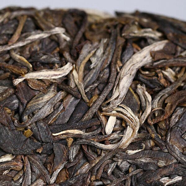 CIFbuy Haiwan High Mountain Ancient Tree 2019 Old Comrade Batch 191 Raw Puer Tea 500g