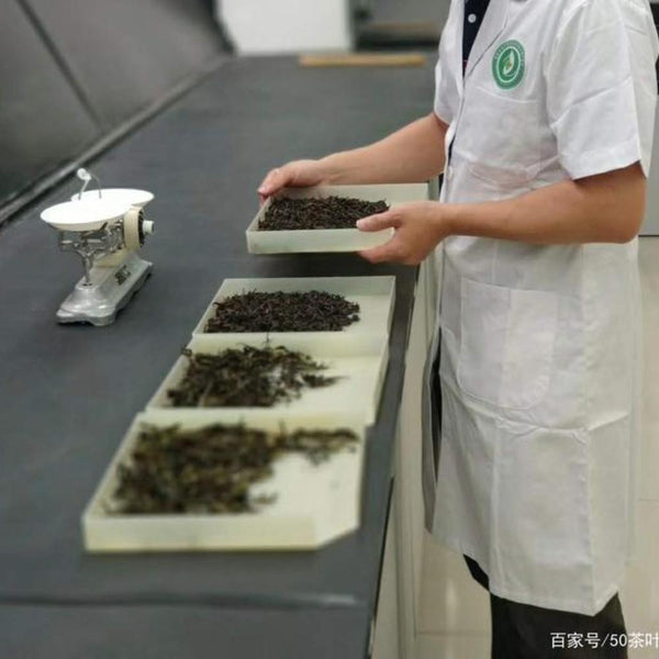 CIFbuy 2012 Tulin Phoenix The King Of Tuocha Shu Puer Ancient Tree Ripe Puerh Tea 250g