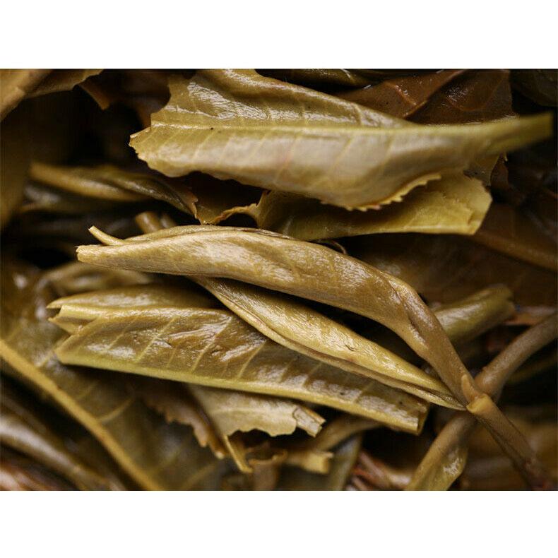 CIFbuy Haiwan High Mountain Ancient Tree 2019 Old Comrade Batch 191 Raw Puer Tea 500g