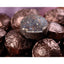 CIFbuy Premium Mini Tuocha Puer Tea with Glutinous Rice Aroma in Tin
