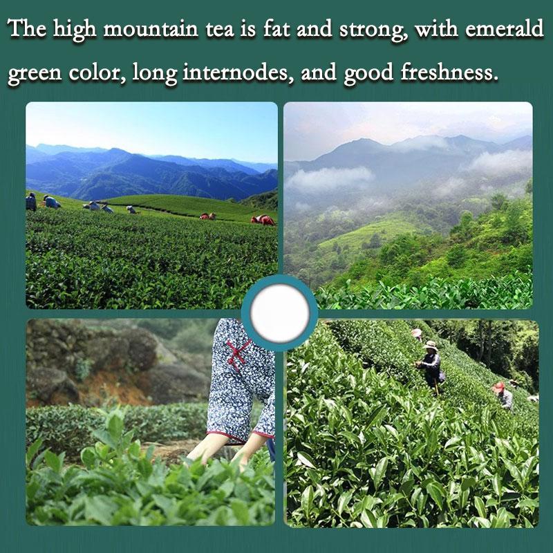 CIFbuy HelloYoung Milk Oolong Tea, Premium Loose Leaf High Mountain Tea from Taiwan, Natural Jin Xuan Oolong Tea Suitable for Weight Loss Programs
