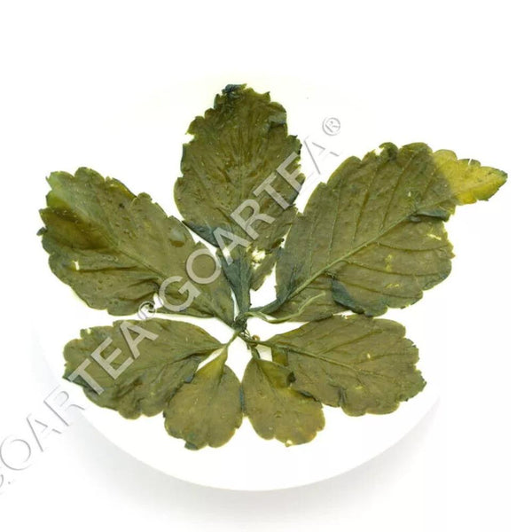 CIFbuy 250g Premium Silver Needle White Tea Bai hao Yin zhen Chinese Tips Loose