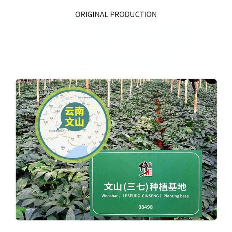 Health Care Xiuzheng Canned Sanqi Powder China Notoginseng Herbal Tea Powder50g