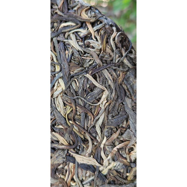 CIFbuy 357g Ming Qian Ancient Tree Spring Tea Pu'er Raw Tea Seven Seed Cake Tea