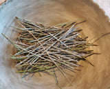 Somlata, Soma, Ephedra Gerardiana, Pack of 100 Grams